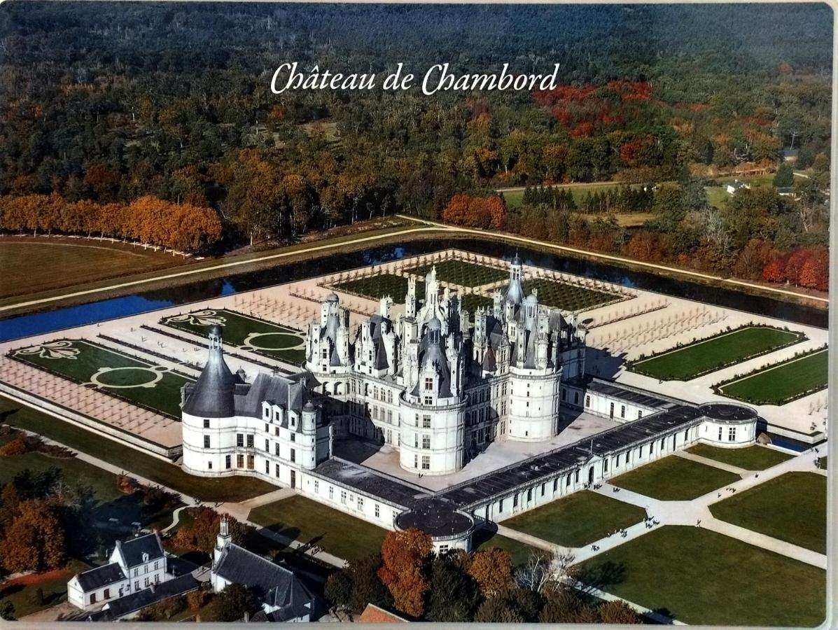 فيلا Gite Du Domaine De Juliette Location Proche Du Zoo De Beauval Et Des Chateaux سيل-سور-شير المظهر الخارجي الصورة